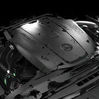 Purchase Mercedes-Benz AMG GT Carbon Fiber Intakes