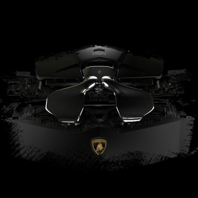 Purchase Lamborghini Urus Carbon Fiber Intakes American
