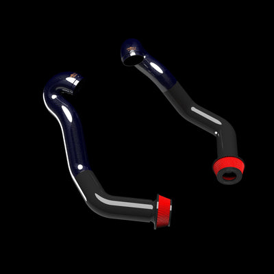 Project Gamma | BMW X5M | X6M | M60i | XM (F95/F96/G09) Carbon Fiber Intakes