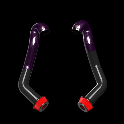 Project Gamma | BMW X5M | X6M | M60i | XM (F95/F96/G09) Carbon Fiber Intakes